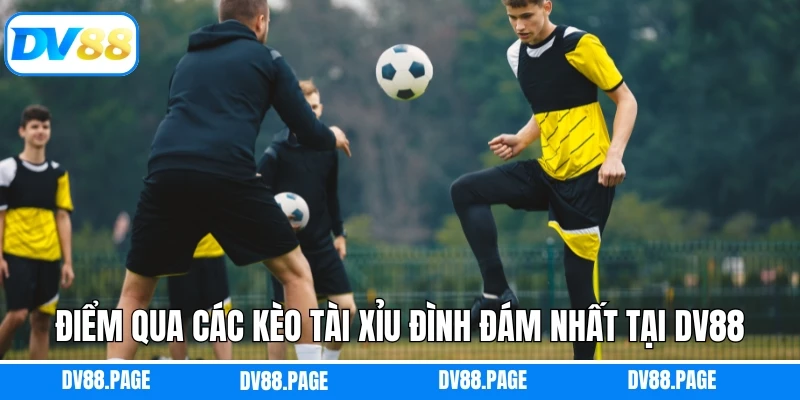 Điểm qua các kèo tài xỉu đình đám nhất tại DV88