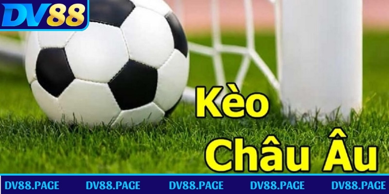 Bí kíp tính kèo bóng đá Châu Âu cho lính cược mới